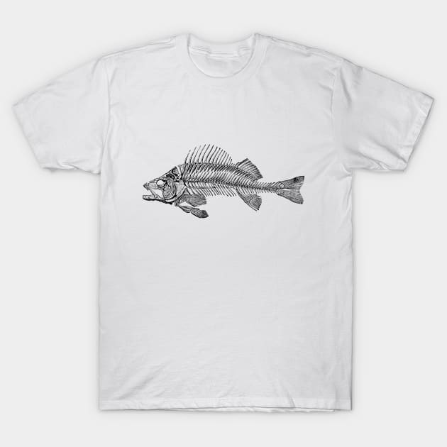 fish skeleton T-Shirt by MiRaFoto